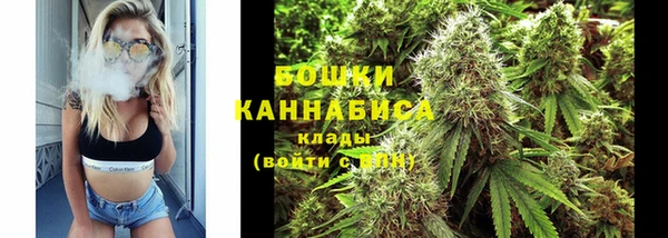соль ск Елабуга