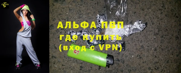 ECSTASY Ельня